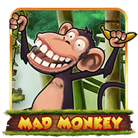 MadMonkey