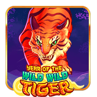 Year Of The Wild Wild Tiger